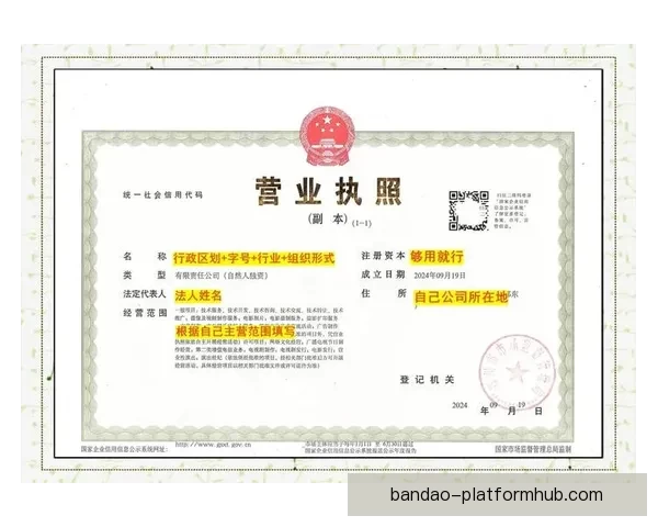 半岛企业注册全流程指南及手续办理详解